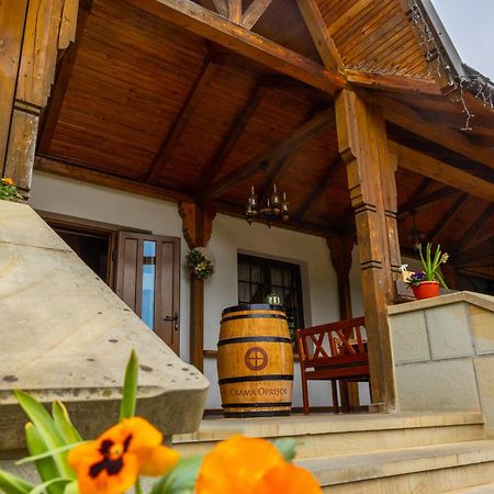 Casa Elena - Resort & Spa Voronet Bagian luar foto